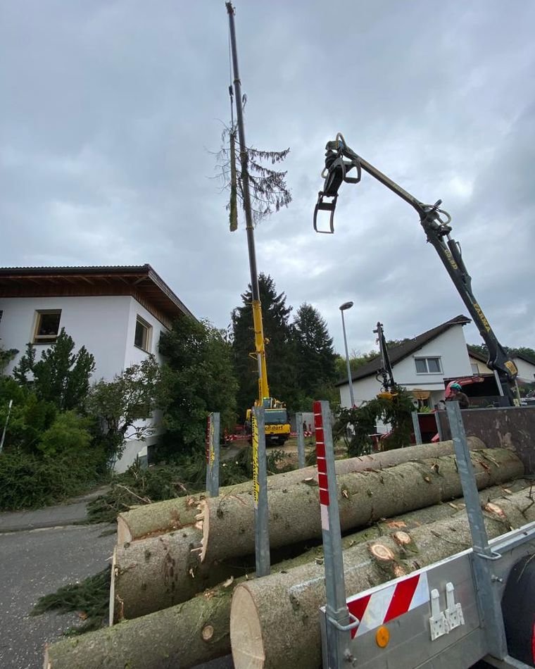 Kranarm verlädt Stammholz an einer Wohnstraße