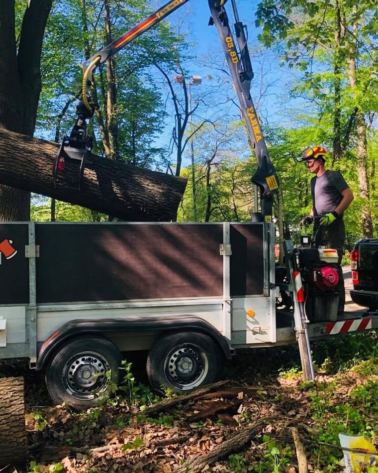 Anhänger beim Abtransport von Stammholz im Wald
